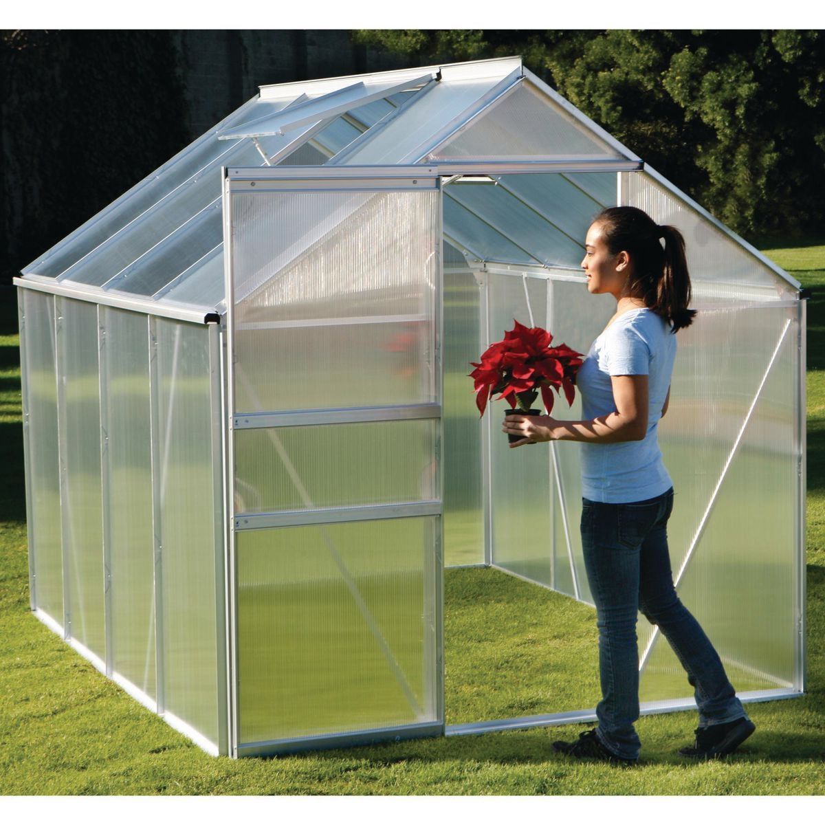 ONE STOP GARDENS Small Greenhouse Kit - 6 Ft. x 8 Ft.