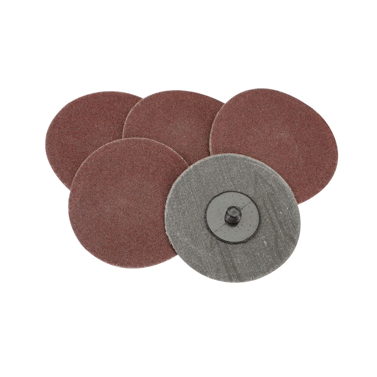 WARRIOR 3 in. 100 Grit Twist-Lock Abrasive Discs, 5 Pack