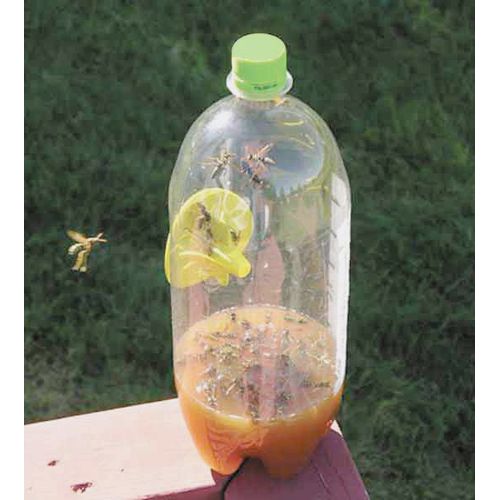 FATAL FUNNEL Wasp and Hornet Traps, 2 Pack