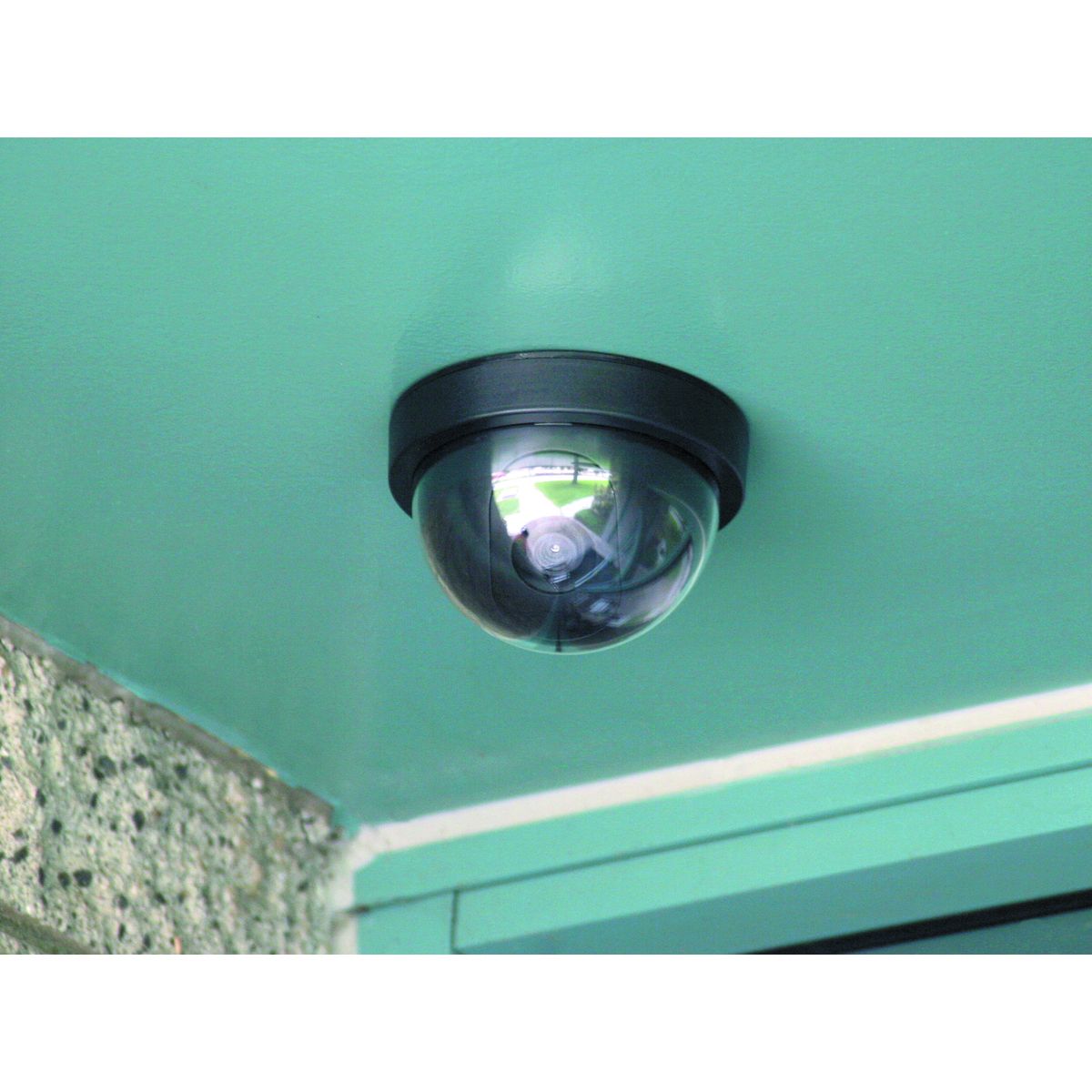 BUNKER HILL SECURITY Dummy Dome Security Camera with LED