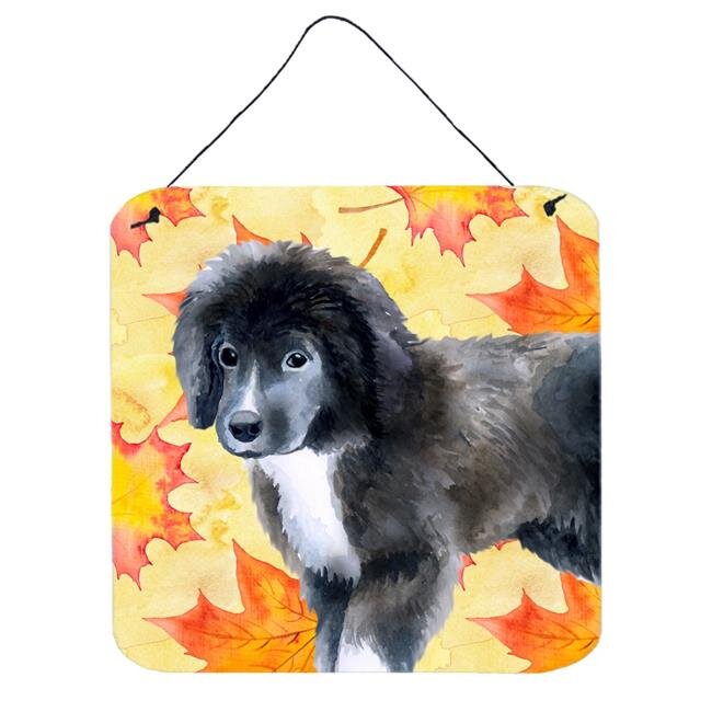 Newfoundland Puppy Fall Wall or Door Hanging Prints, 6 x 6 in.