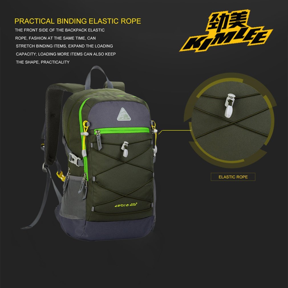 Leisure and Travelling Backpack Computer and School Bag Fits Male and Female
