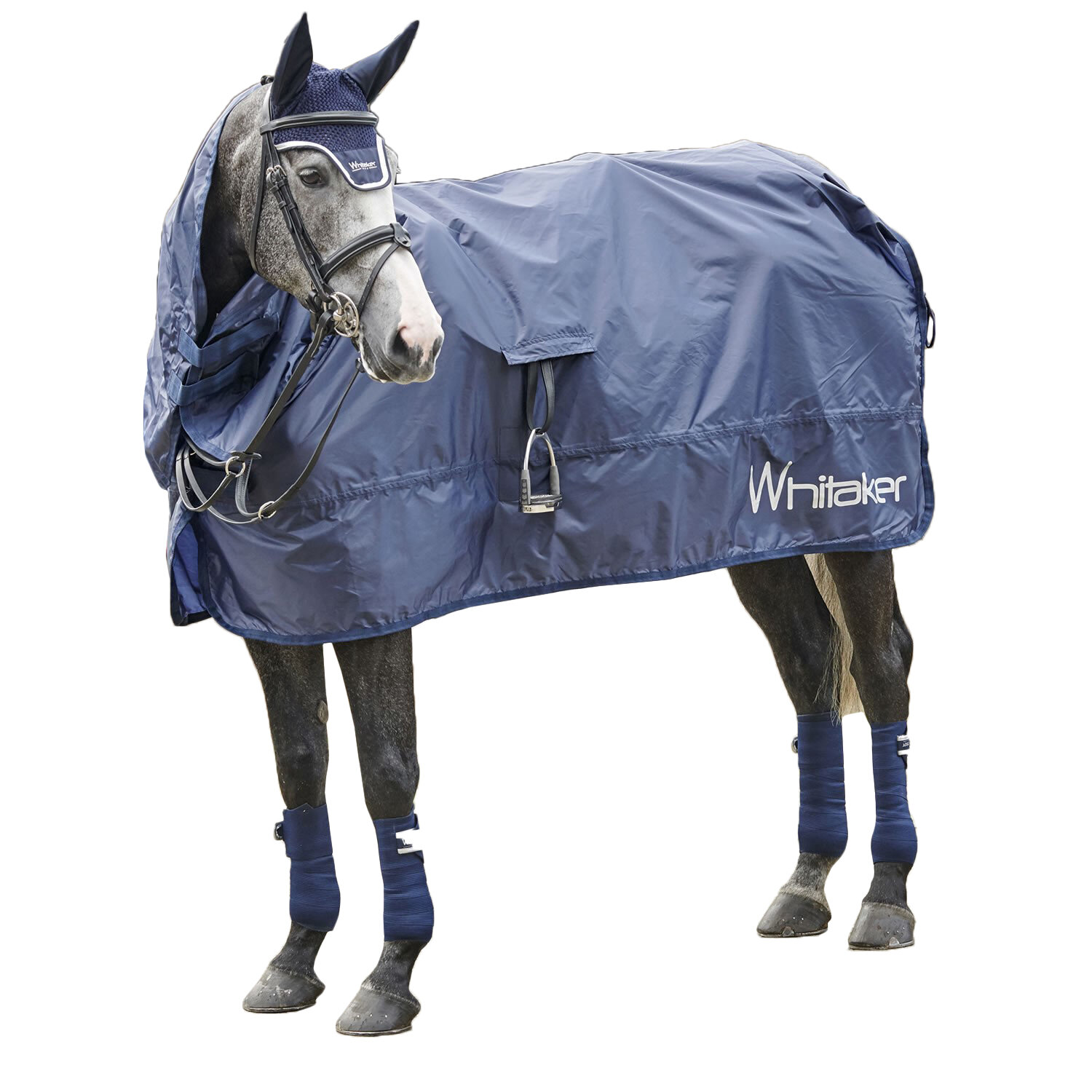 Whitaker Rothwell Roll Up Horse Turnout Rug