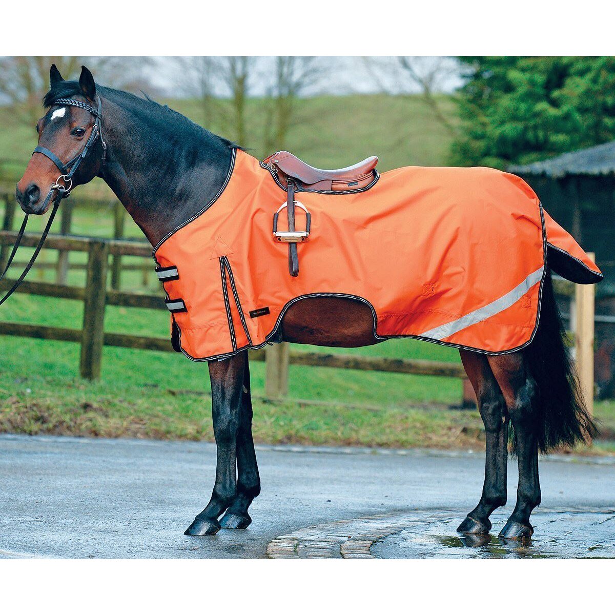 White Horse Equestrian Boston Pony Riding Waterproof Reflective Exercise Sheet