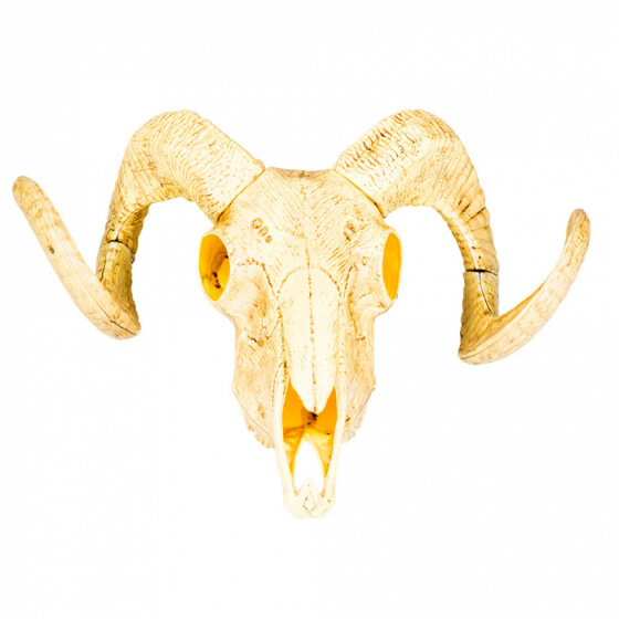 animal skull ram 28 x 36 cm gold