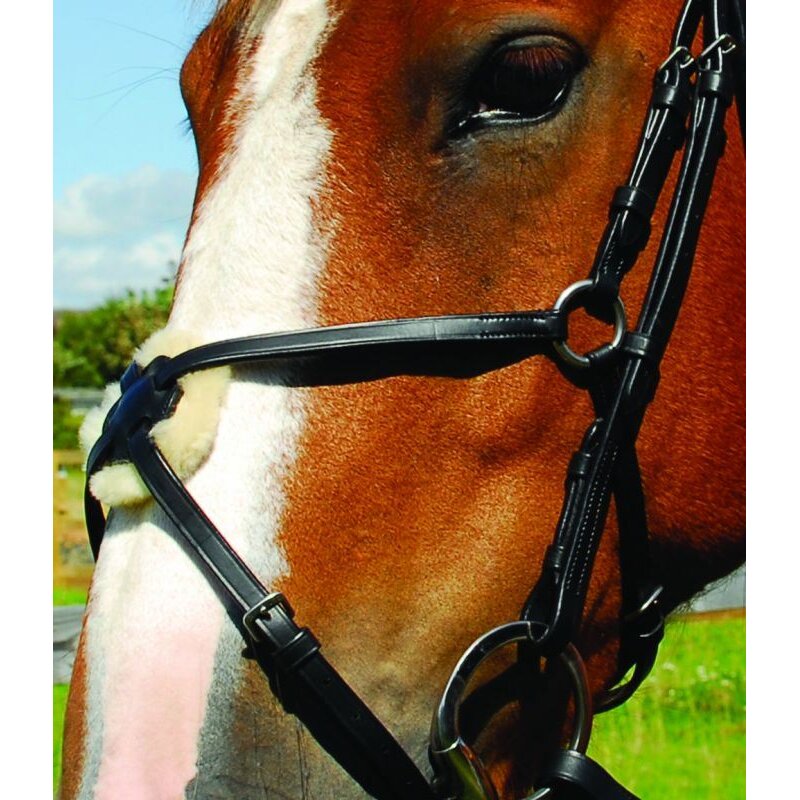 Heritage Mexican Bridle