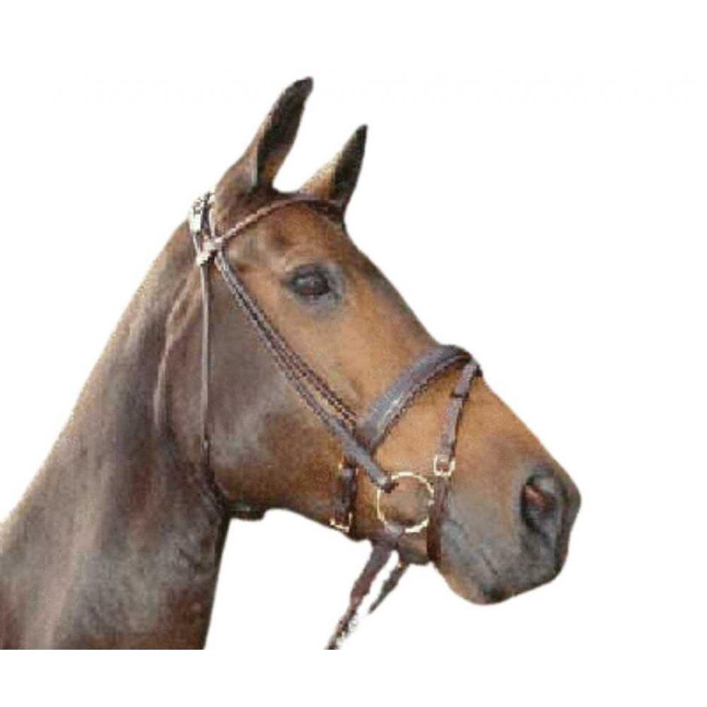 Torino Bridle For Horse