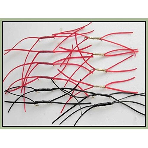 Blood Worm Trout Fishing Flies, 12 Pack Apps Bloodworm, Red, Black & Red & Gold, Size 10