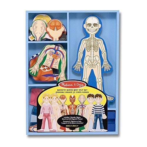 Melissa & Doug Magnetic Human Body Anatomy Play Set With 24 Magnetic Pieces and Storage Tray