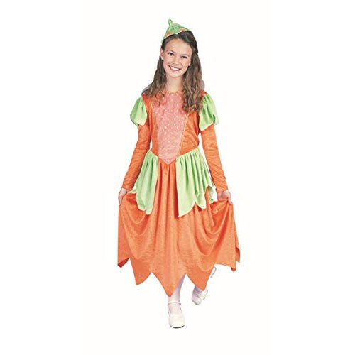RG Costumes 91143-L Pumpkin Princess Costume - Size Child-Large