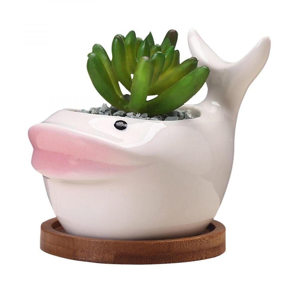 Mini Flowerpot With Draina Funct Ceramic Flowerpot